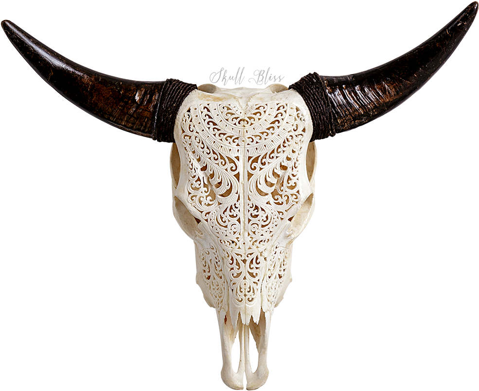 Skull Pencabut Nyawa Png Gambar Malaikat Keren Victoria Wallpaper