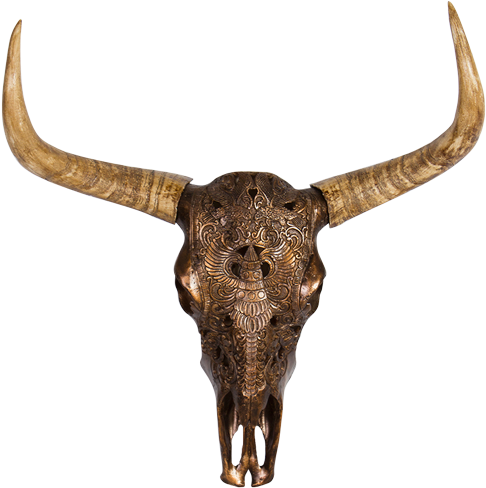 Resin Cow Head Scull - Skull (500x500), Png Download
