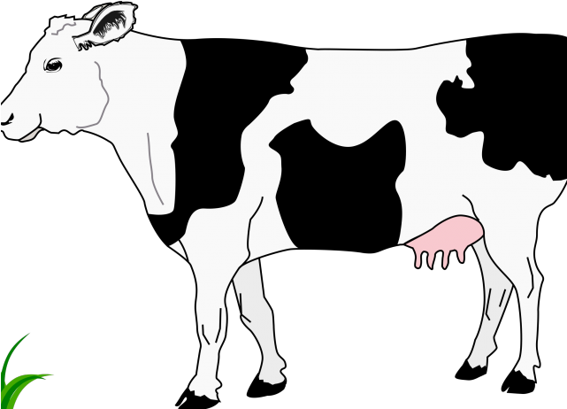 Cattle Clipart Cow Head - Cow And Calf Clip Art (640x480), Png Download