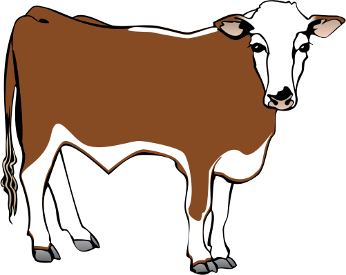 Steer Drawing At Getdrawings - Steer (501x398), Png Download