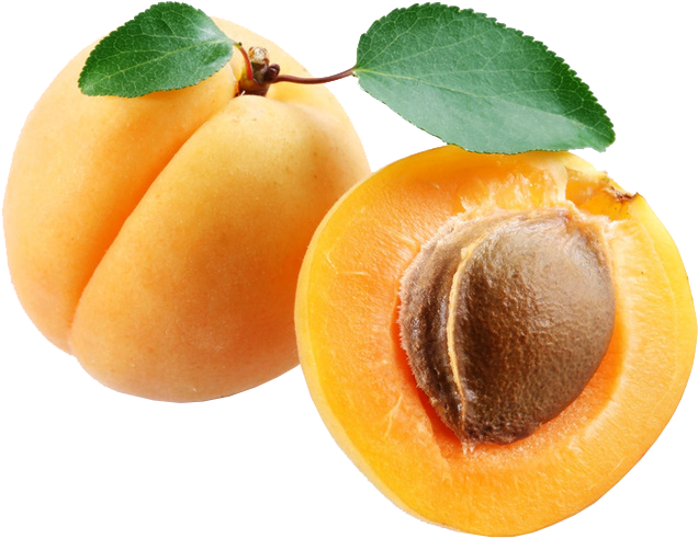 Apricot Png (700x555), Png Download