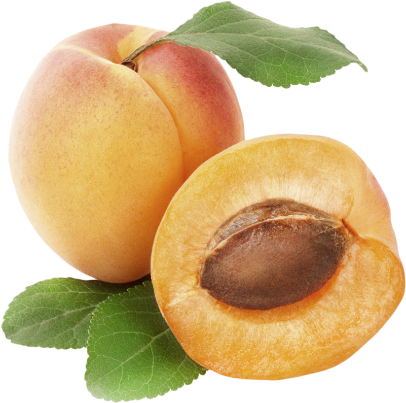 Rex Orange County Apricot (809x802), Png Download