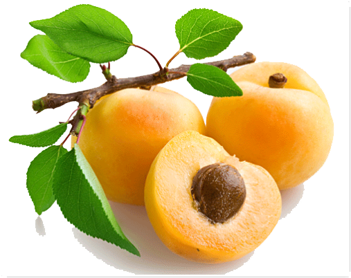 Apricot Png Picture - Apricot Fruit (507x402), Png Download