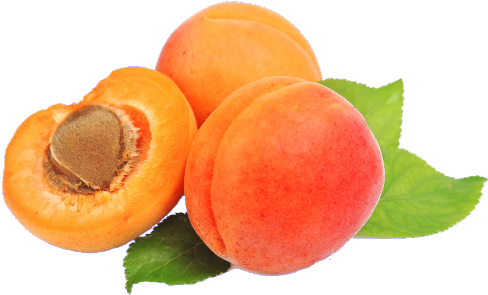 Apricot Png Free Download - Afourar (500x324), Png Download
