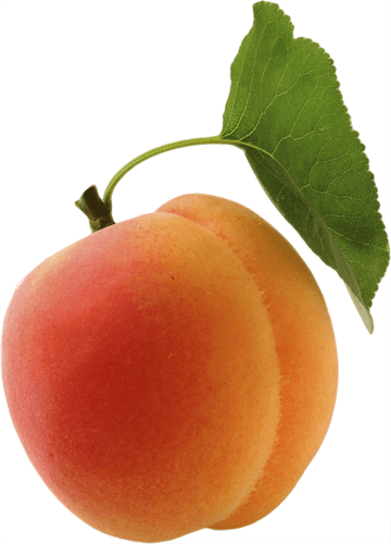Fruits - Transparent Apricot Png (360x500), Png Download