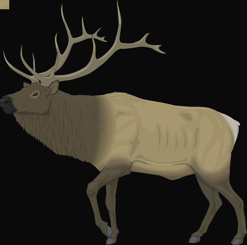 Car (800x794), Png Download