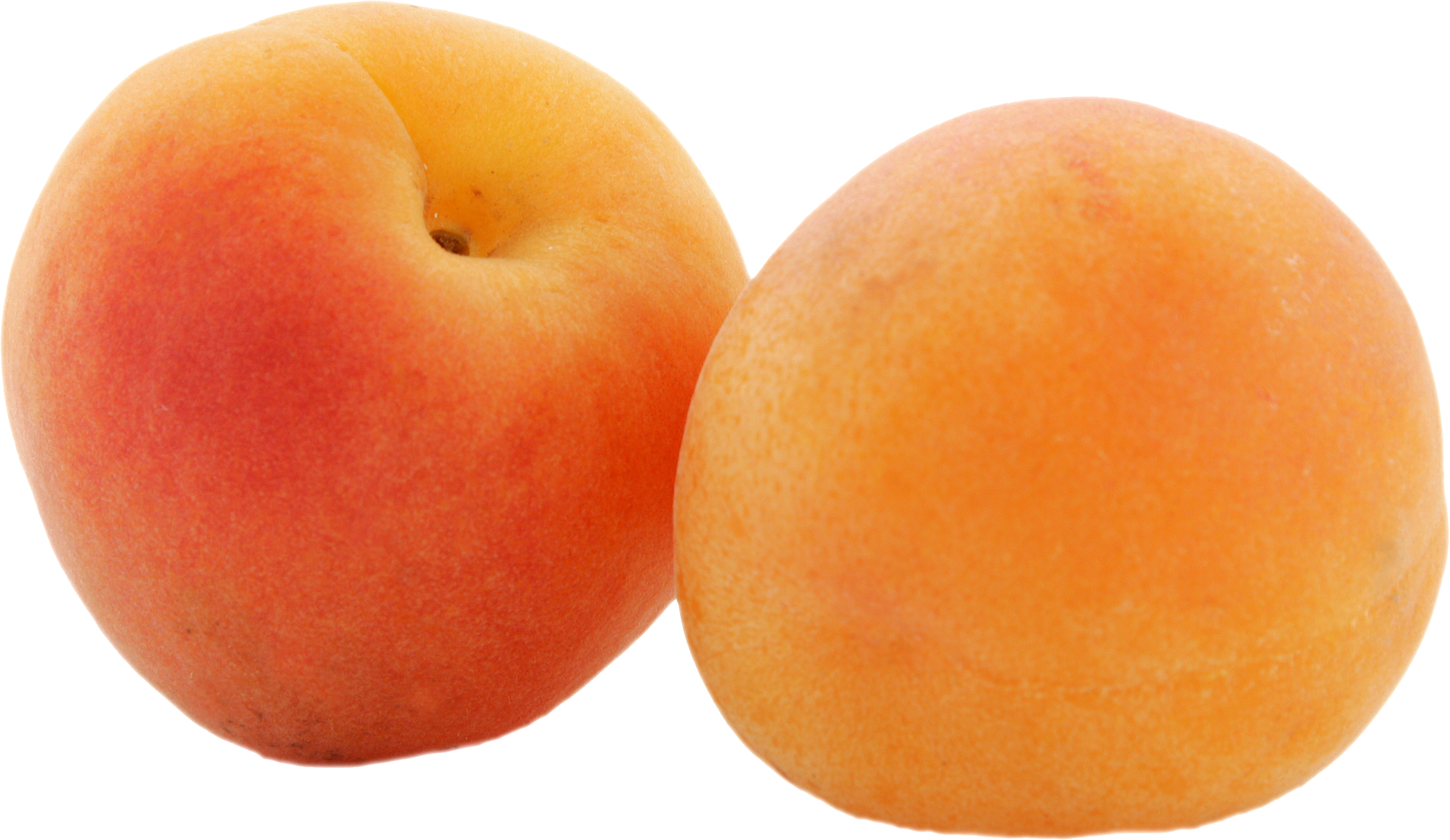 Apricot Png - Fruit Apricot (2570x1489), Png Download