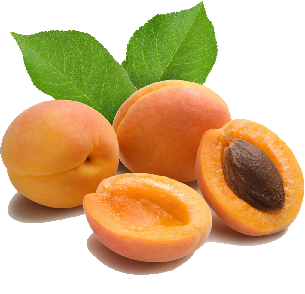 Apricot Images Png (1024x1024), Png Download