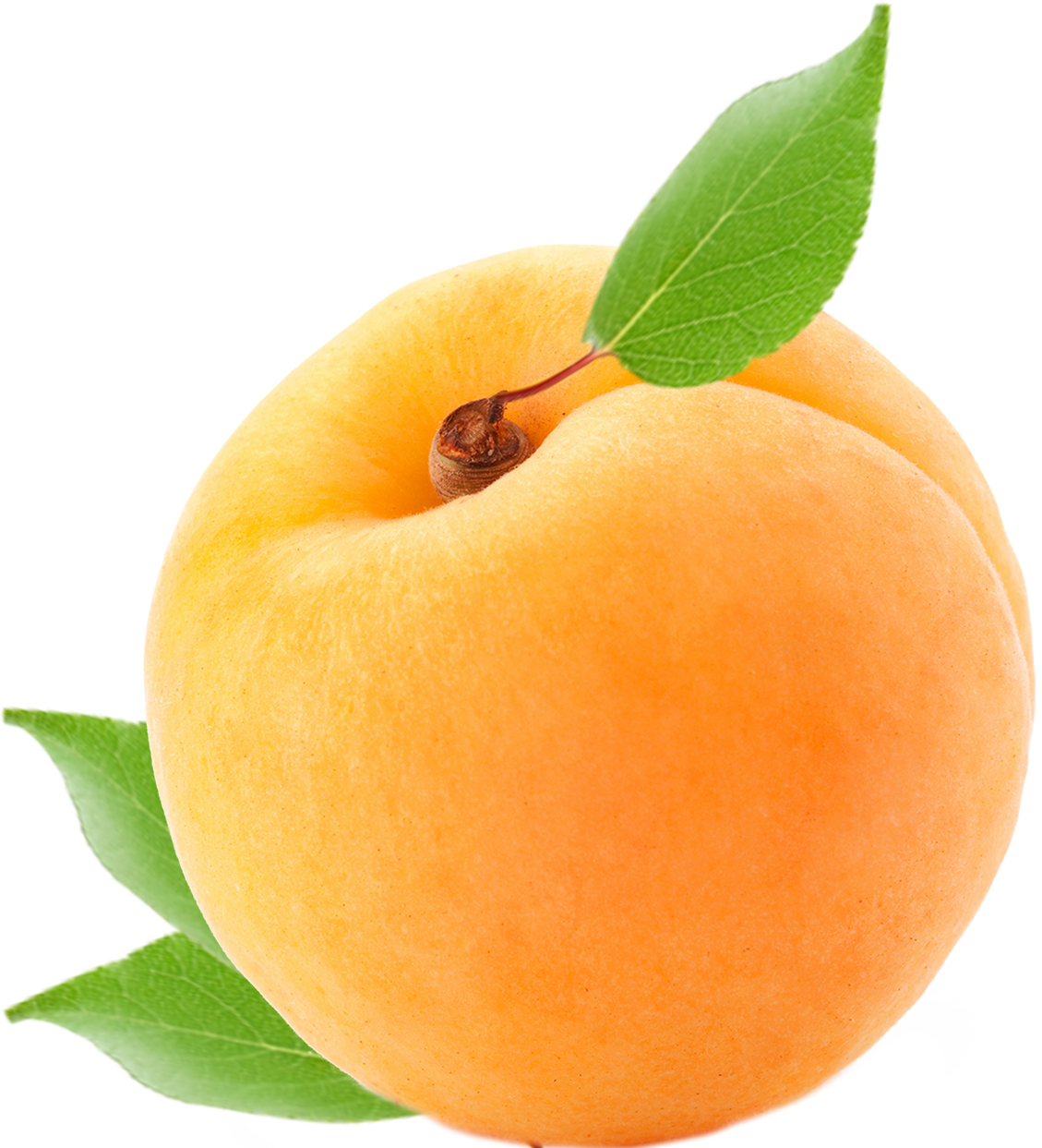 Apricot (1129x1243), Png Download
