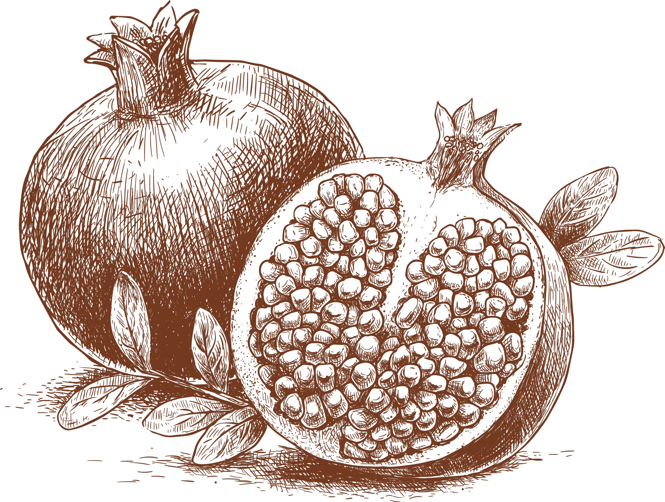 Pomegranate Transprent Png Free Download Leaf Cartoon (2175x1642), Png Download