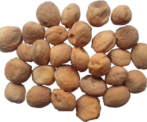 Dry Apricot - Apricot Dry Fruit (600x500), Png Download