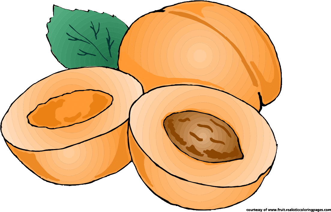 Pumpkin Cake Clipart - Apricot Png Clipart (1280x720), Png Download