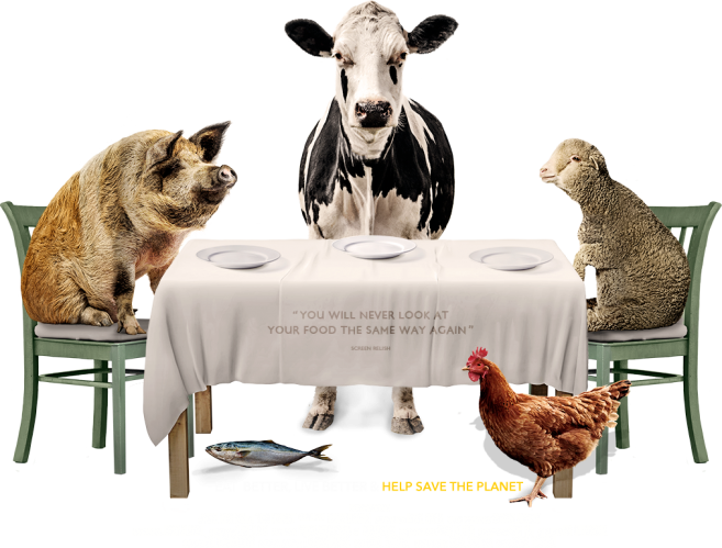 Food Choices (657x499), Png Download