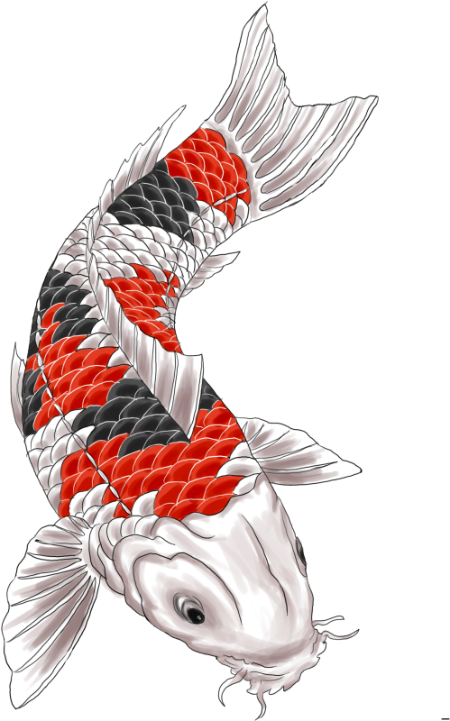 Koi Fish Tattoo Png Jpg Library Stock - Tattoo Koi (612x816), Png Download