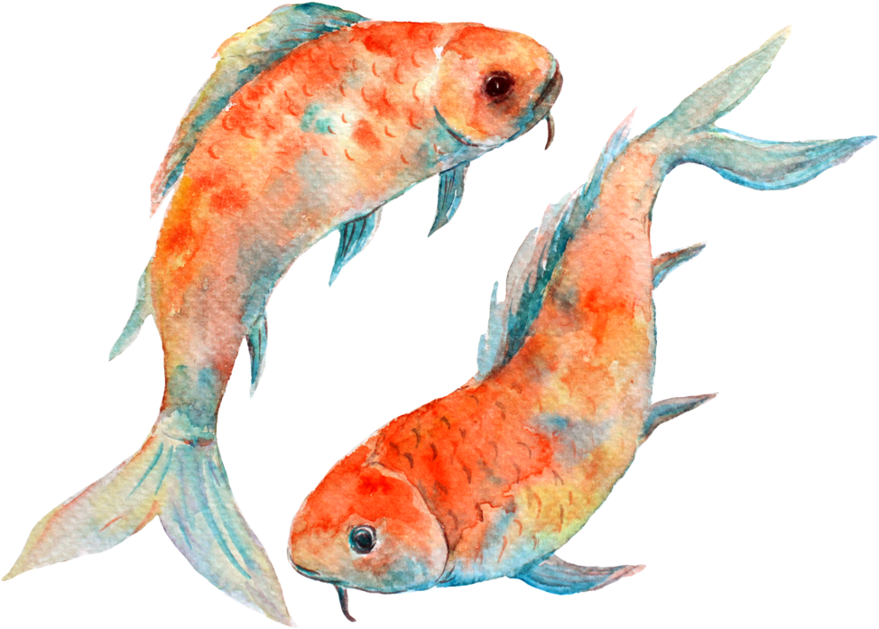 New Moon In Pisces - Watercolor Pisces (1000x722), Png Download