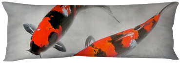 Calico Koi Fish Watercolor Illustration Body Pillow - Pez Koi Rojo Real (400x400), Png Download