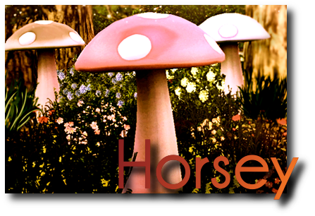 Horseya2 - Shiitake (447x306), Png Download