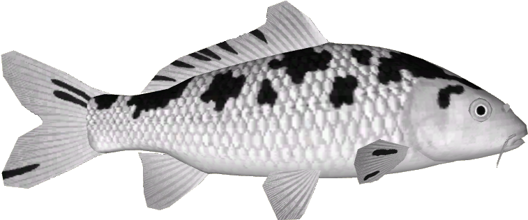 Koi Variants 15 - Bass (756x756), Png Download