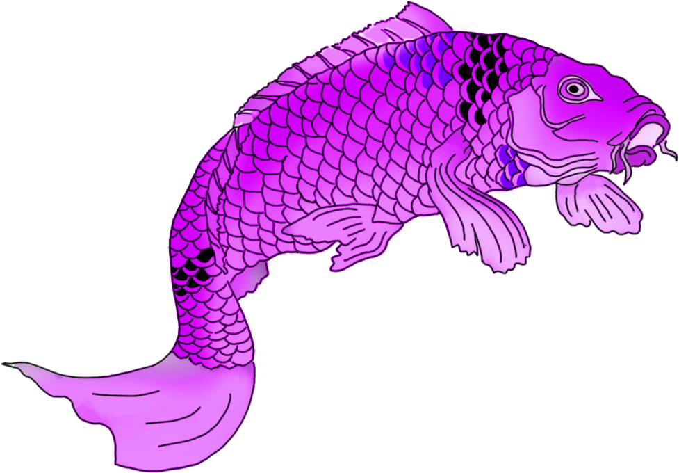Png Transparent Download Colorful Drawings Purple - Koi (1049x755), Png Download