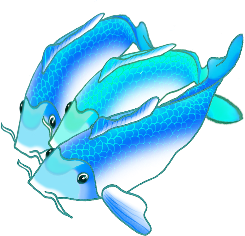 Colorful Koi Fish Draw - Clip Art (886x886), Png Download