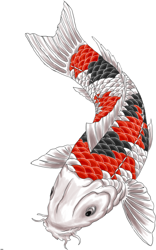 Koi Tattoo Png - Koi (612x816), Png Download