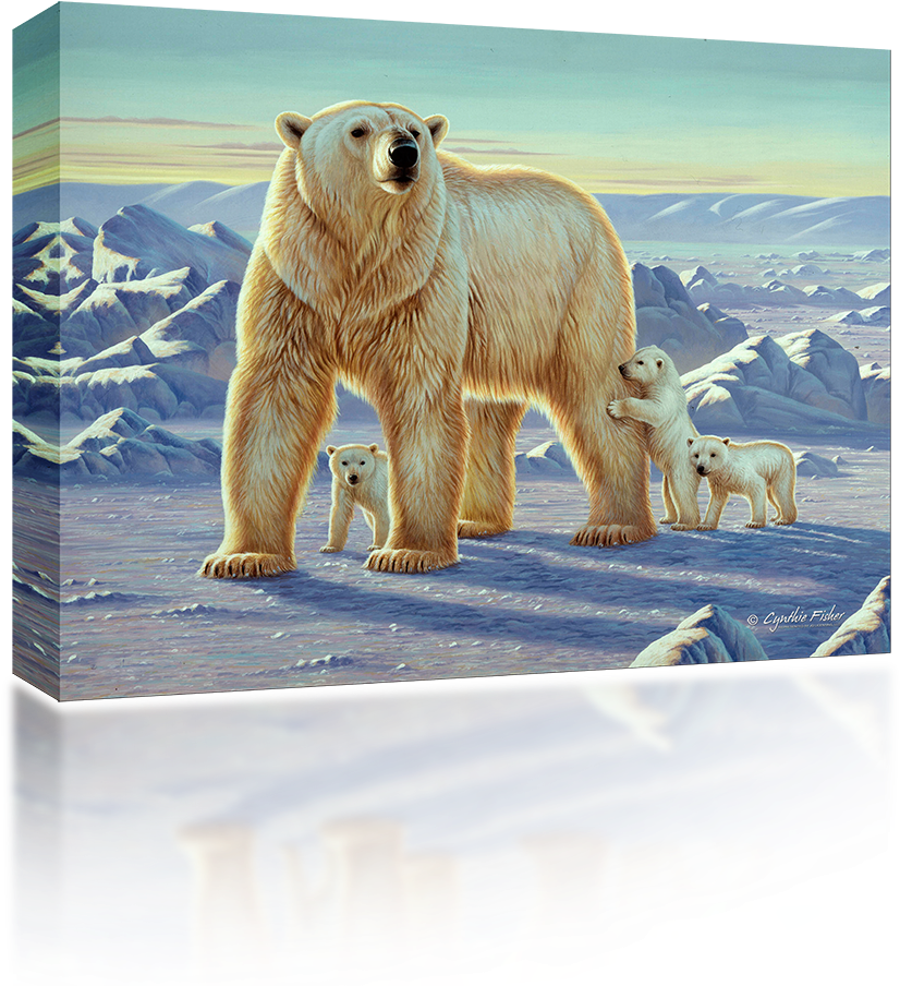 Polar Bear (1024x1024), Png Download