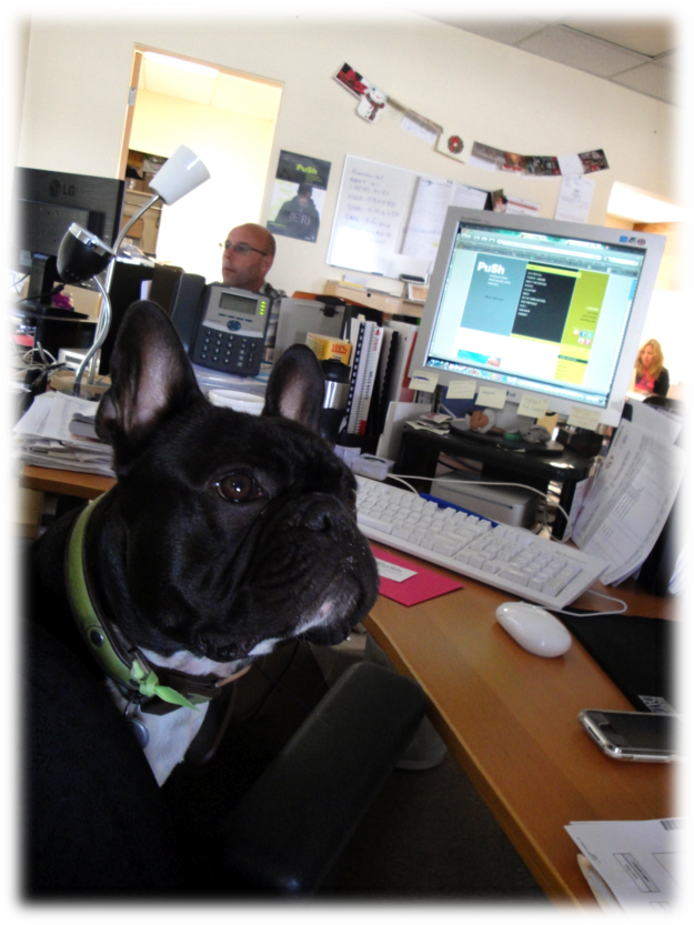 Is Sometimes Difficult To Separate Nightmares From - French Bulldog (625x833), Png Download