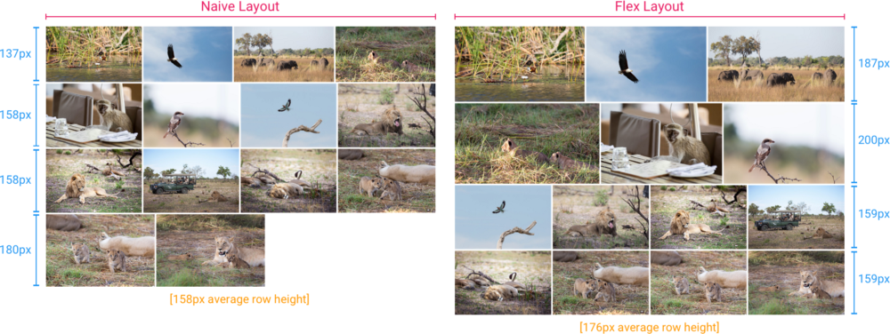 Building The Google Photos Web Ui - Algorithm (1000x376), Png Download