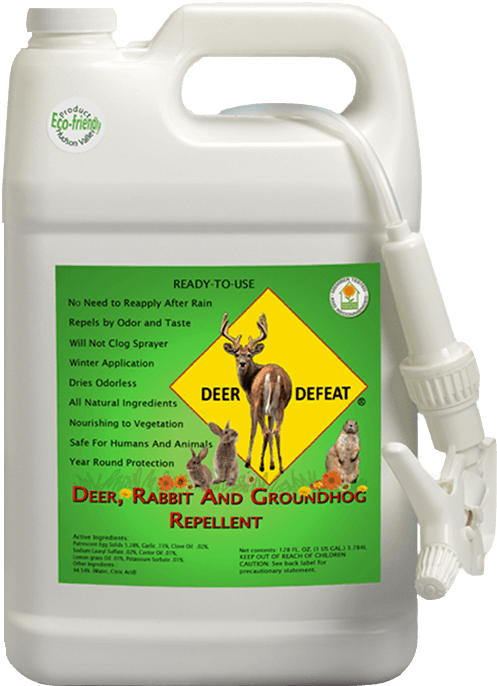 Winter Use - Concentrate (550x742), Png Download