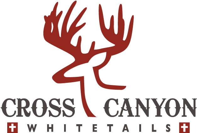 2018 Year Round Sponsors - Colossal Hoax: The Giant From Cardiff (705x471), Png Download