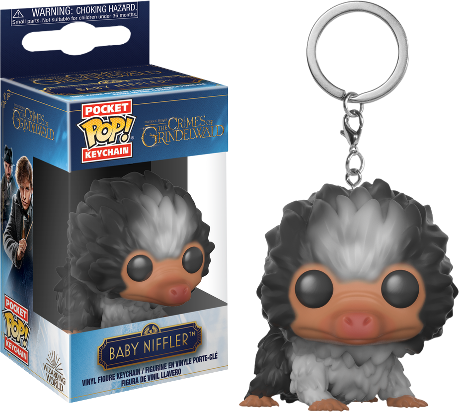 Fantastic Beasts And Where To Find Them (924x829), Png Download