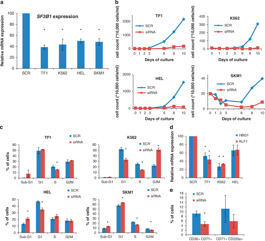 Download - Transfection (850x773), Png Download