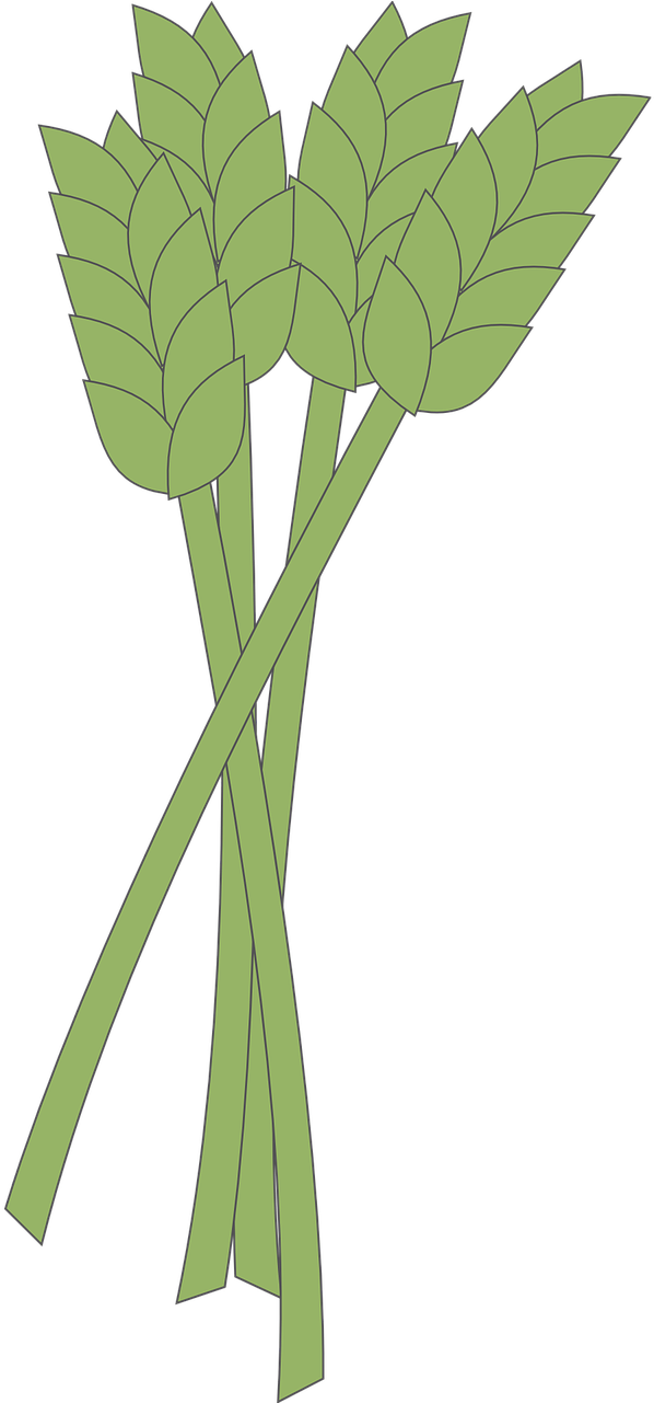 Vector Graphics, - Clip Art (640x1280), Png Download