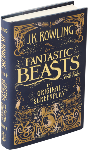 Fantastic Beasts And Where To Find Them (528x600), Png Download