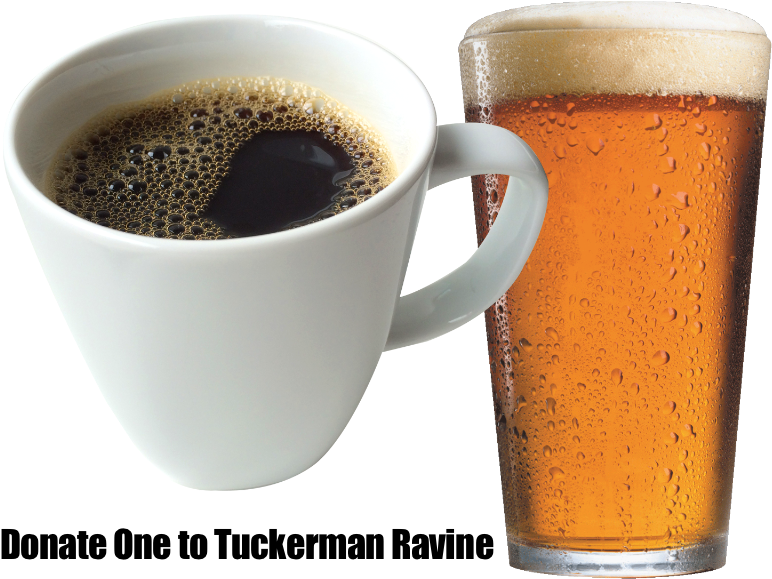 Donate One 800px - Transparent Cup Of Coffee (800x600), Png Download