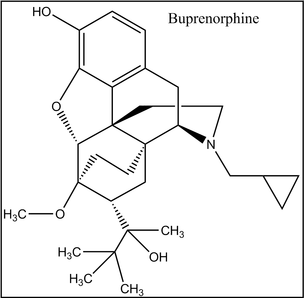 Suboxone Is A Combination Of Buprenorphine And Naloxone - Diagram (1015x998), Png Download