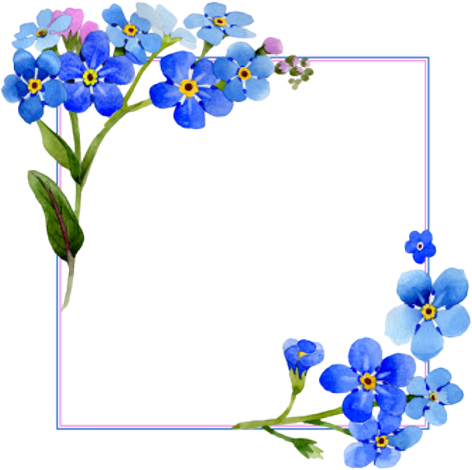 Flower Watercolor Blue Frame Pictureframe Acuarela - Flower Frame Png Transparent (1024x1024), Png Download