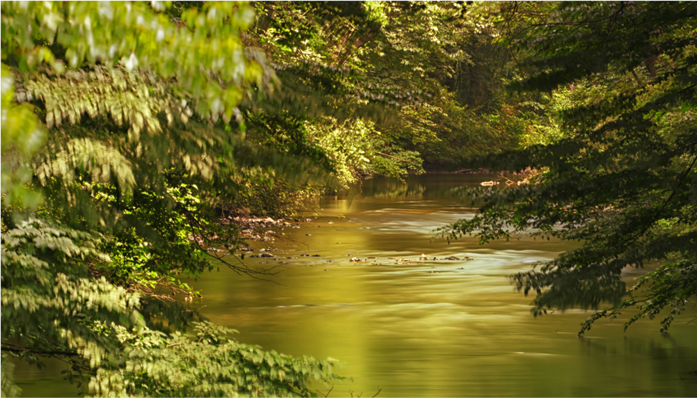 Score 50% - Nature (1000x1000), Png Download