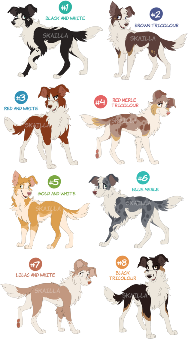 Svg Royalty Free Library Collie Drawing Colorful - Painting (683x1170), Png Download