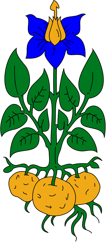 Heraldic Potato Plant - Potato Plant Clip Art (450x1024), Png Download