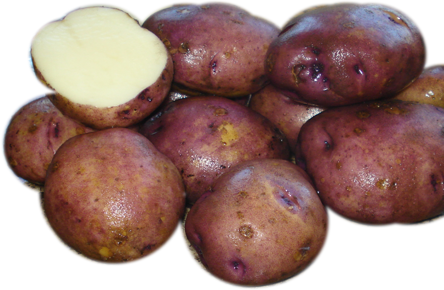 Caribe (916x598), Png Download