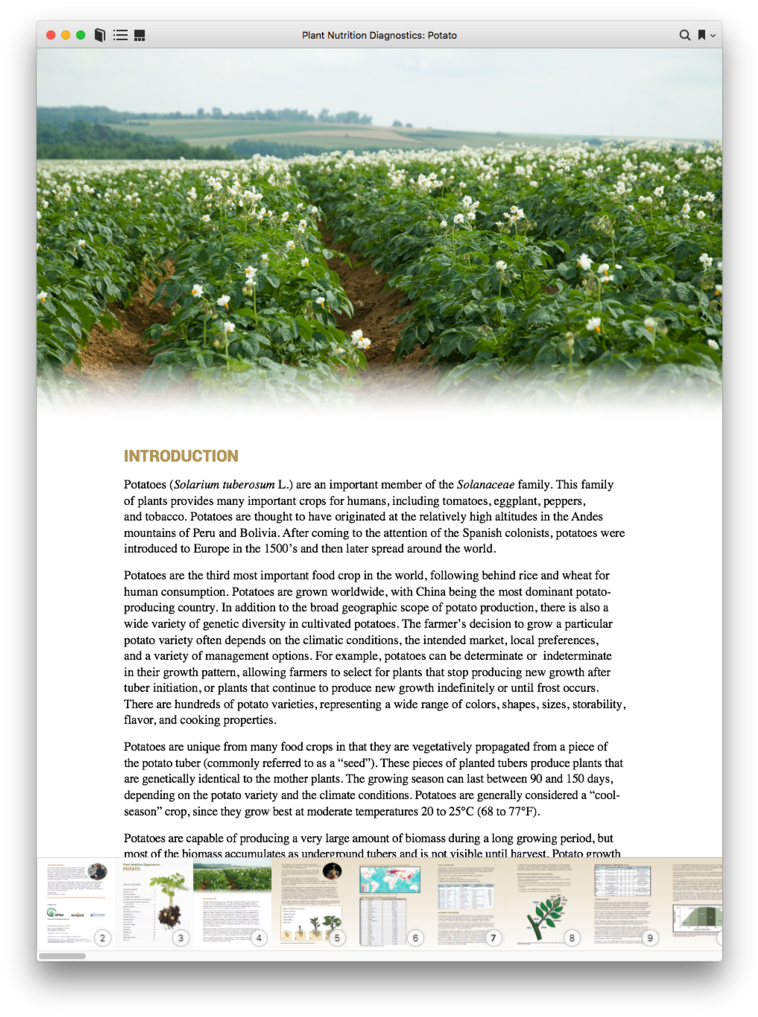 Digital Download - Grass (769x1024), Png Download