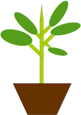 I Have Lately Been Dabbling In Some Indoor Gardening (559x794), Png Download