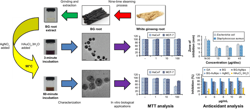 Scheme 1 Preparation And Characterization Of Black - Gallic Acid Silver Nanoparticles Shape (850x373), Png Download