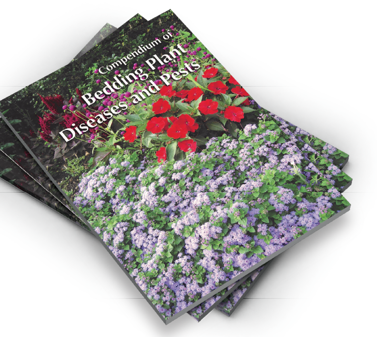 “compendium Of Bedding Plant Diseases And Pests” Offers - Baby Blue Eyes (756x677), Png Download