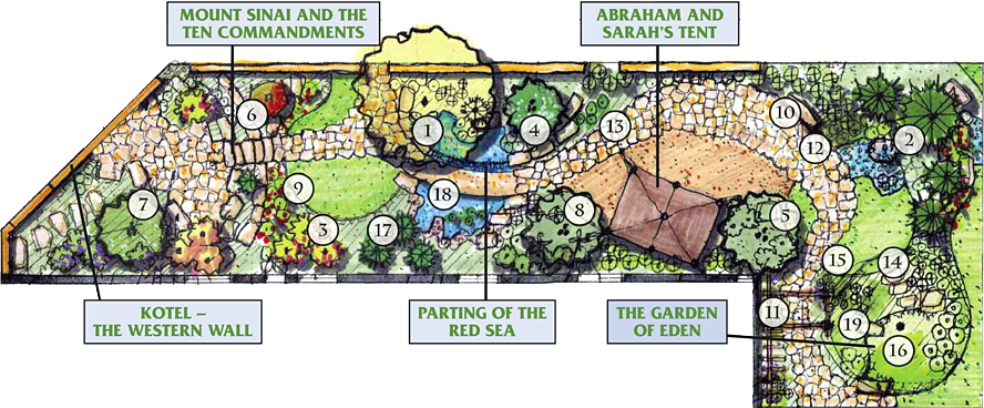 Identifying Biblical Plants Is Not A Simple Task - Garden Plant Layout (888x368), Png Download