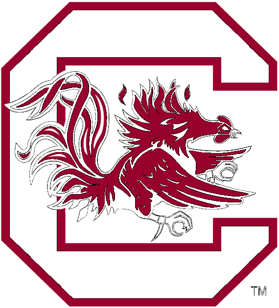 South Carolina Gamecocks (570x630), Png Download