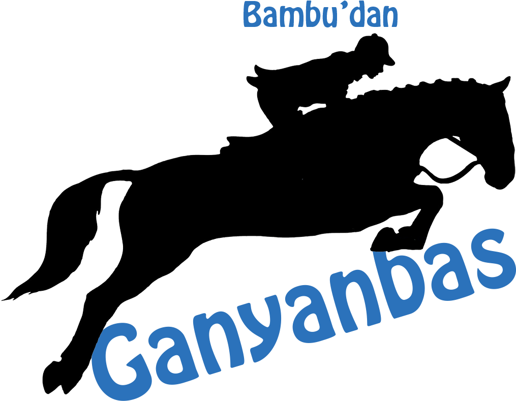 At Yarışı Tahminleri (1015x789), Png Download