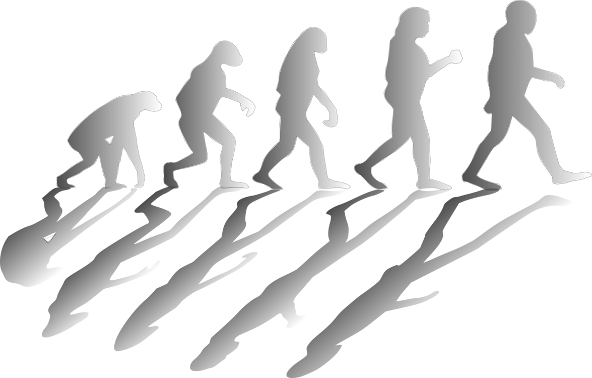 Social Media Quality Assurance Evolution Knowledge - Darwin's Contribution (1175x750), Png Download