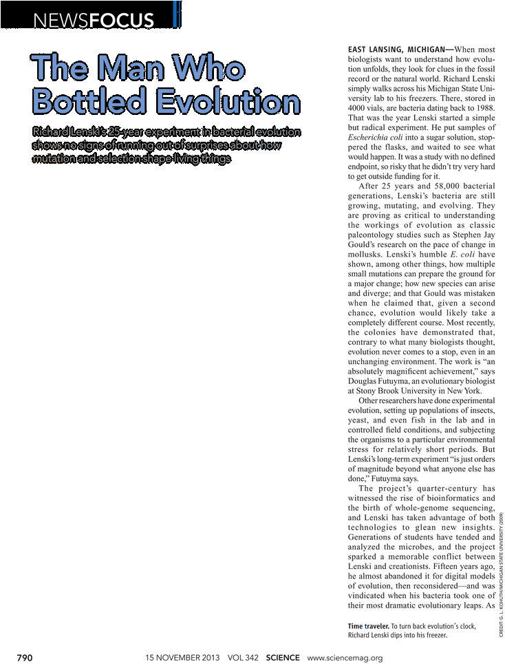 Document (765x974), Png Download